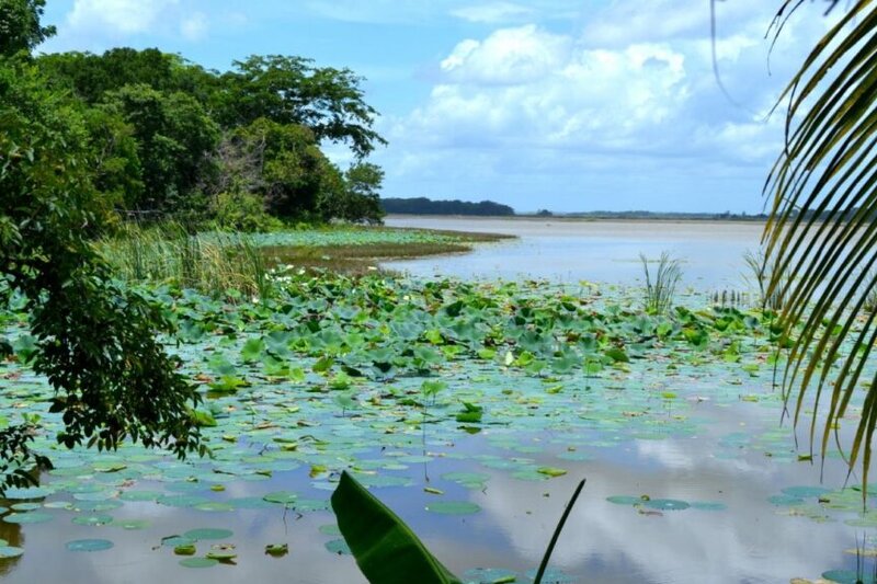 Laguna de Silvituc en el municipio de Escárcega