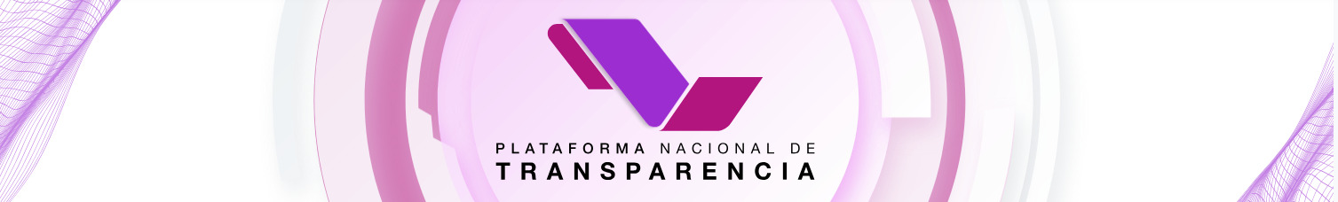 Plataforma Nacional de Transparencia
